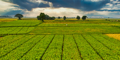 Desteklemekler Ödendi!